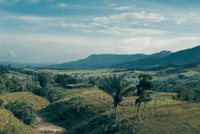 Pie De Monte Amazónico